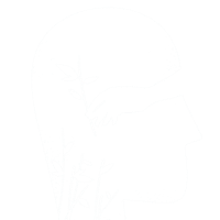 ONKJC01